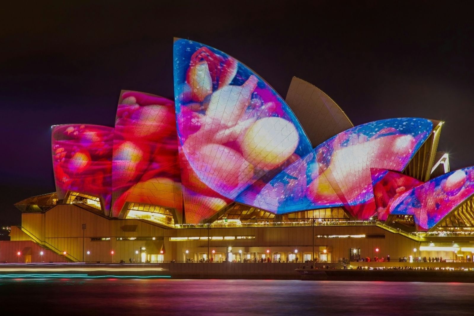 To help you make the most of VIVID Sydney 2024, we’ve put together our top 11 experiences that we think you’ll love