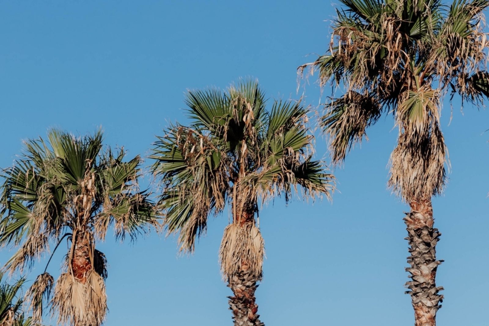 Self-drive itinerary inspiration from Sydney to Byron Bay, Australia, for backpacker travellers.