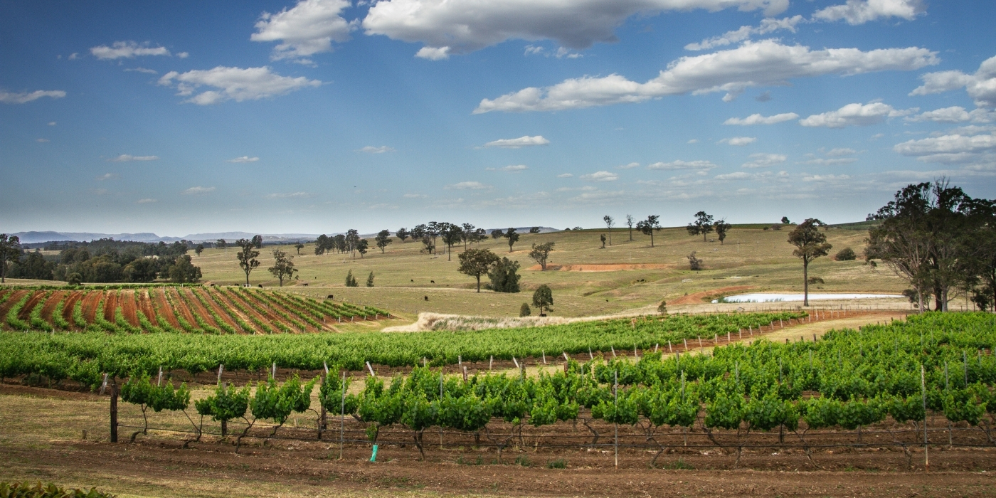 The Hunter Valley in NSW, is home to some of Australia's best wineries