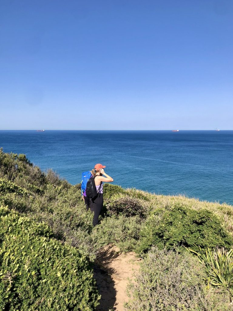 As far as top experiences in Sydney go for backpackers, hiking the Royal National Park is an absolute must!