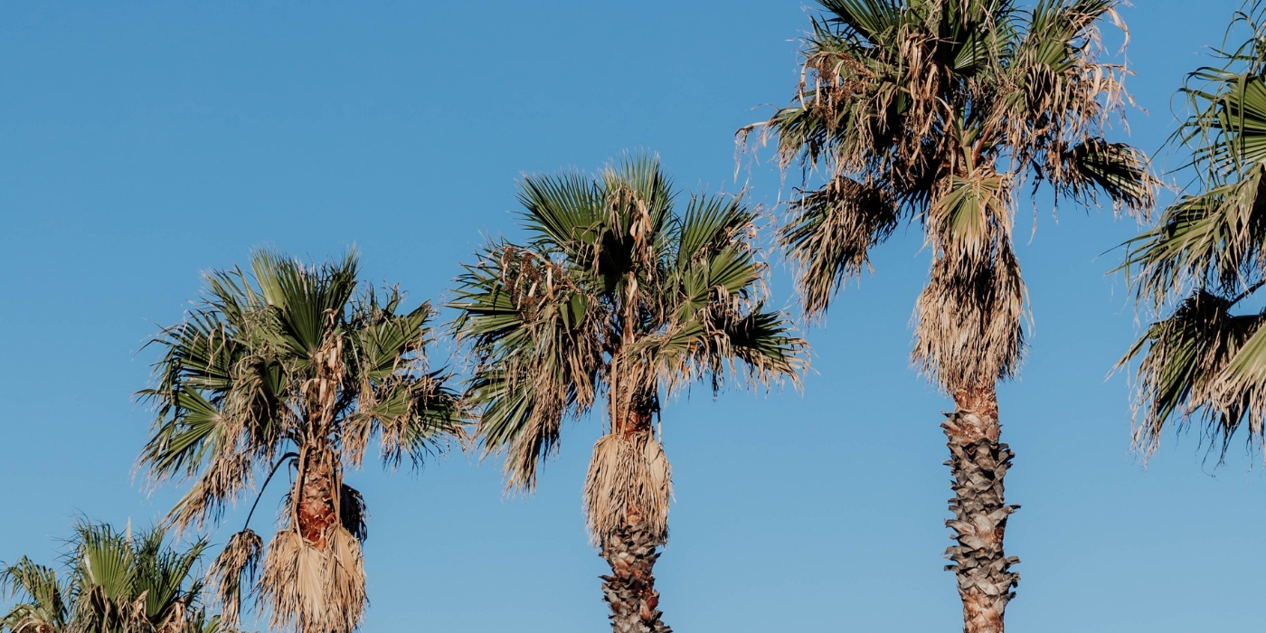 Self-drive itinerary inspiration from Sydney to Byron Bay, Australia, for backpacker travellers.